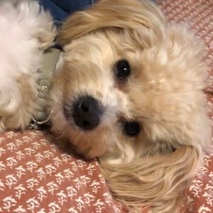 Meet your Posher, Nancy